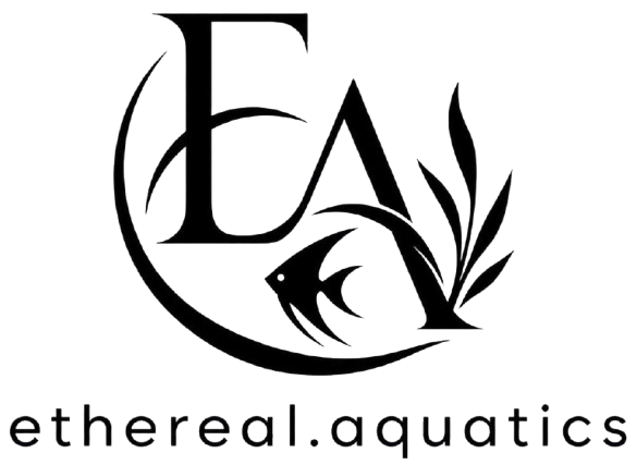 ETHEREAL AQUATICS